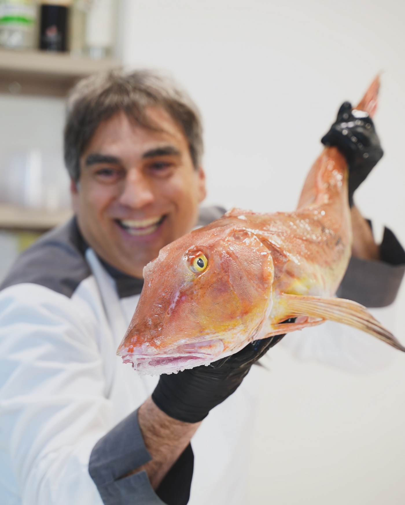 Catering Salsedine - piatti